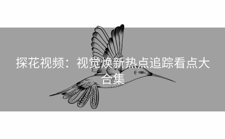 探花视频：视觉焕新热点追踪看点大合集